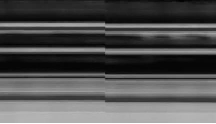 Figure 6: A screenshot of the FLAW software showing a region of the pressure tube containing a defect