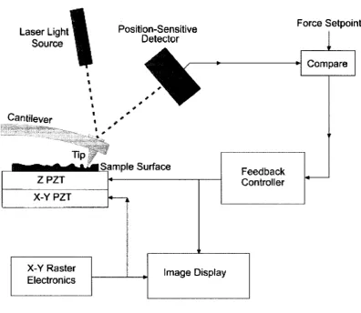 Figure 1. Block Diagram of Atomic Force Microscope System 