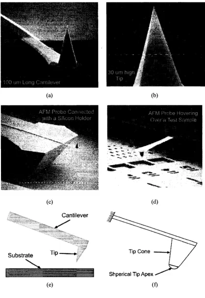 Figure 2. Close up Views of Atomic Force Microscope probe, (a-d) SEM images of an AFM probe (Courtesy: Nanosensors) and (e-f) different parts of AFM probe 