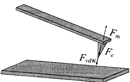 Figure 8. A schematic diagram of AFM probe-substrate system showing different forces acting on AFM probe