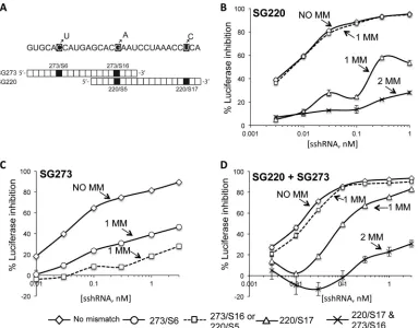 TABLE 2 Nucleotide and amino acid changes in the core protein residues contained within the sshRNA target sites