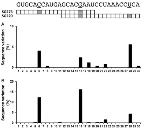 FIG 4 Natural sequence polymorphism of HCV GT1 clinical isolates withinthe target region of the overlapping HCV sshRNAs SG220 and SG273