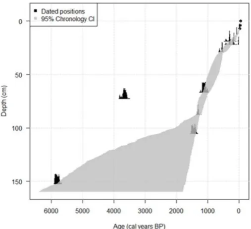 Figure 4. Spheroidal Carbonaceous Particle (SCP) concentration proﬁle for Rockforest Lough.