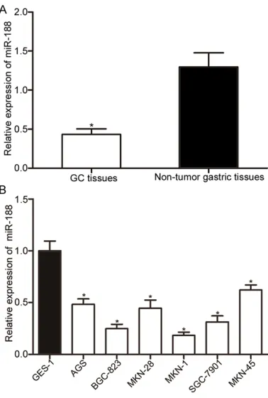 Figure 1. Down-regulation of miR188 in GC tissues and cell lines. A. qRT-PCR analysis of miR188 expres-sion levels in GC tissues and corresponding non-tu-mor gastric tissues
