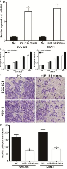 Figure 2. miR-188 over-expression in-hibited proliferation and invasion of GC cells. A