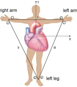 Figure 2: A typical electrocardiogram wave, showing the PQRST complex. 
