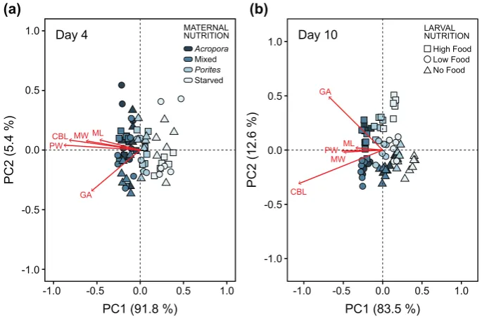 Figure 7. Principal component analysis (PCA) plot of morphological traits measured to analyze width (vectors are morphometric measurements of maximum length (Figure 7.similarities in larval morphology at (a) four days and (b) ten days after the onset of fe
