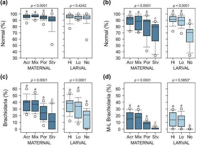 Figure 4. Figure 4. Proportion of normally developing larvae at 8 days (a) and 16 days (b) after the onset of the ability of larvae to feed, and proportion of larvae at the brachiolaria stage after 8 days (c) and larvae at the mid-to-late (M-L) brachiolari