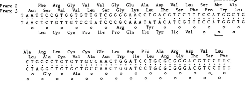 TABLE~~~~~~~~~~~~~. 1. Comparison of HBc and WHc genes and products