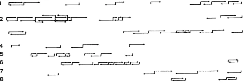 FIG. 2.BamHI,fragmentsof Diagram of analyzed DNA fragmnents. Vertical bars correspond to the position of the labeled ends restriction fragments used