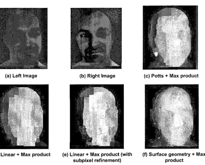 Figure 2.6: Comparison of the surface geometry model to the truncated linear and Potts 