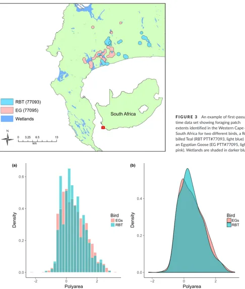 FIGURE 3 An example of first- passage time data set showing foraging patch extents identified in the Western Cape of South Africa for two different birds, a Red- billed Teal (RBT PTT#77093, light blue) and an Egyptian Goose (EG PTT#77095, light pink)