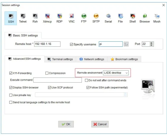 Figure 11 - MobaXterm Session Option Window 