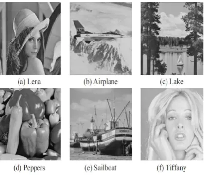 Fig.3. Standard Test Images.  