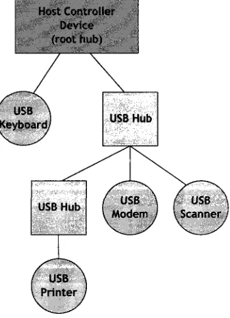 Figure 2.3: USB Bus Topology 