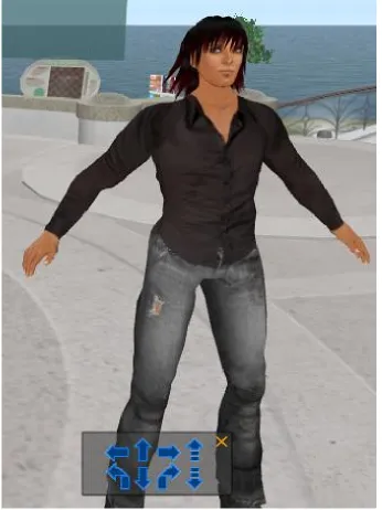 Figure 1.1: The image shows us what an avatar looks like inside the virtual world SecondLife