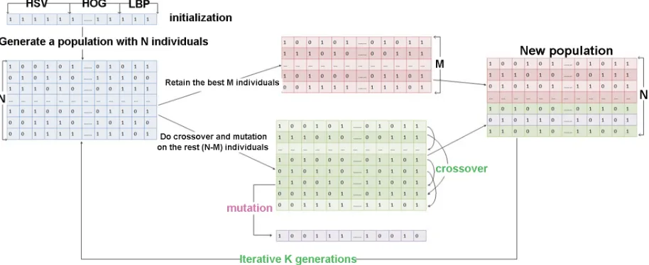 Fig 3 Approximate the optional solution by the binary evolutionary algorithm.