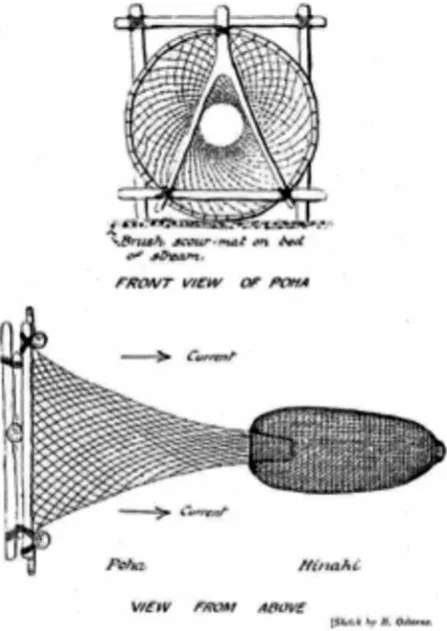 Figure 4. Maori eel pot (Best, 1929).
