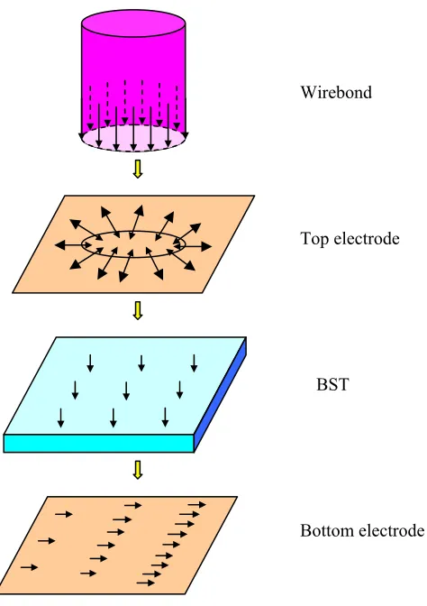 Figure 2.9     Current distributions on a discrete capacitor 