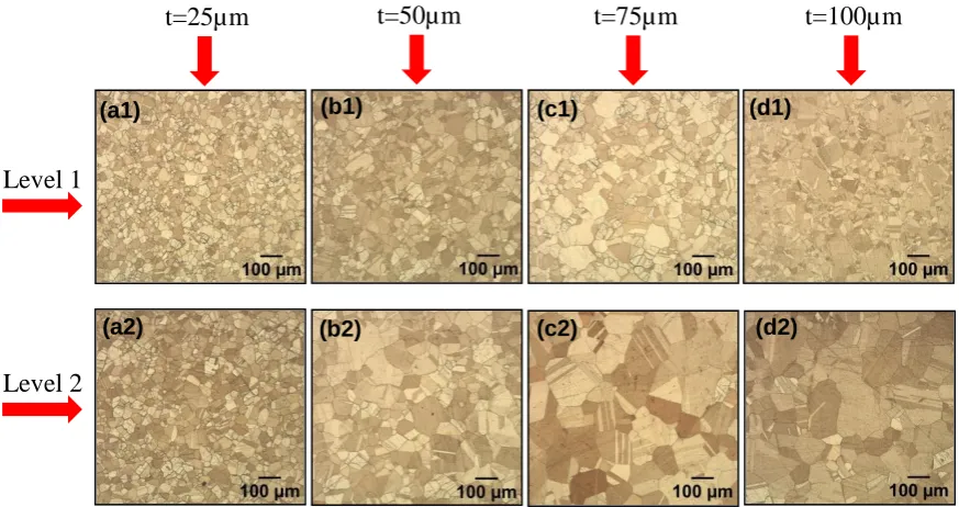 Fig.3. Microstructures of annealed brass foils along the foil plane: (a1) d = 33 μm, (a2) d 