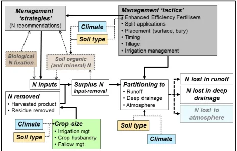 Figure 3. Conceptual relationship between the factors involved in nitrogen fertiliser management and nitrogen lost from the soil profile (adapted from Thorburn and Wilkinson, 2013)