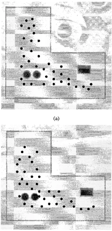 Figure 3.1: Two robots detect each other without information exchange: (a) The black dot); (b) The current belief of robotparticles