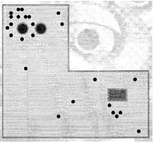 Figure 3.3: Illustration of scenario three: (a) Robot A's belief becomes more certain by detecting a landmark; (b) The belief of robot B also becomes more certain through the landmark detection