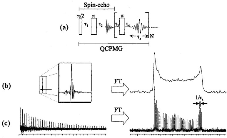 Figure 2.16: (a) Spin-echo and QCPMG pulse sequences, (b) Spin-echo FID where a full echo is acquired and the corresponding spectrum, (c) The QCPMG FID embodies a chain of spin-echoes, determined by the number of Meiboom-Gill (MG) loops of the pulse sequen
