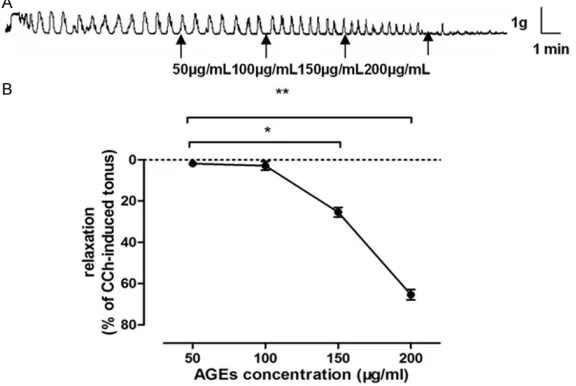 Figure 1. Effects of different concentrations of advanced glycation end products (AGEs) on smooth muscle strips from adult rat colon