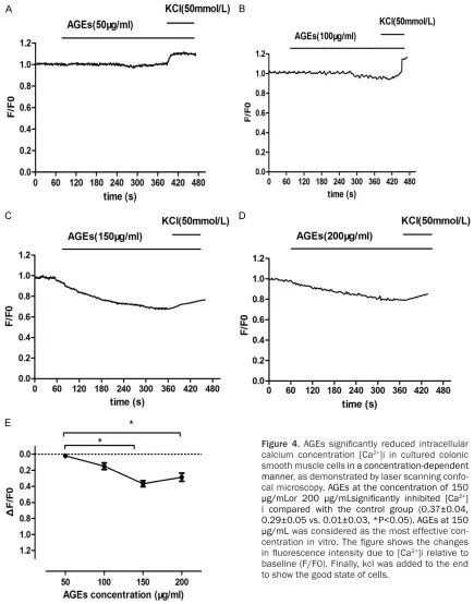Figure 4. AGEs significantly reduced intracellular calcium concentration [Ca2+]i in cultured colonic smooth muscle cells in a concentration-dependent manner, as demonstrated by laser scanning confo-cal microscopy