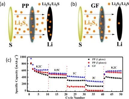 Figure 1.8 Schematic illustration of Li-S cell with (a) PP and (b) GF separator, showing the 