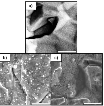 Figure 2.5: Top-down SEM images of a) as-received Au-coated QCM crystal, b) 1000 cycles of 