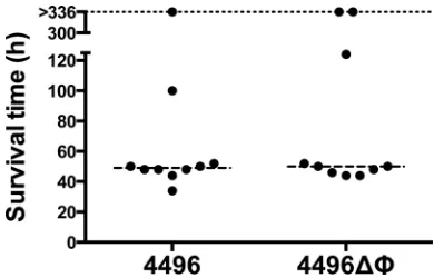 FIG 1 The capacity of the 4496 strain and the 4496�� and 4496�PPI1 mutants to adhere to A549 and Detroit 562 cell monolayers was examined as describedin Materials and Methods