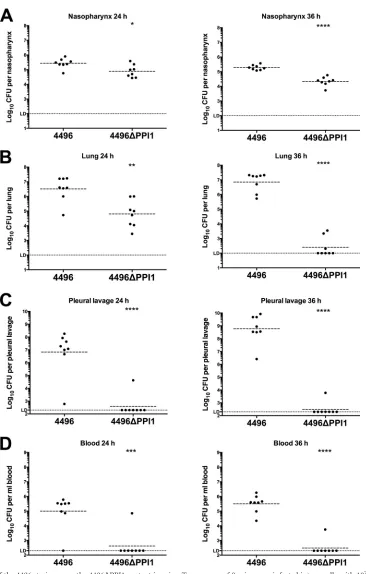 FIG 6 Pathogenesis of the 4496 strain versus the 4496P4496Horizontal broken lines indicate the geometric mean bacterial load for each group