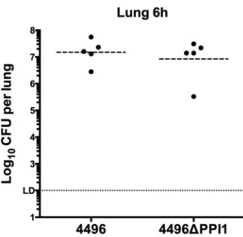 TABLE 2 Differentially expressed immune response genesa