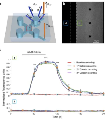 Figure 1. Development and characterisation of the microfluidic perfusion system. (a) Schematic representation of a dual chamber microfluidic device with inlet/outlet needle ports for the direct perfusion/withdrawal of fluid in/from the wells