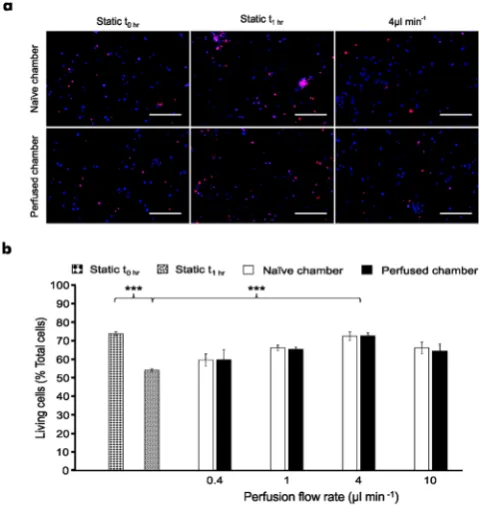 Figure 3. Microfluidic hippocampal cultures respond to direct glutamate (G) application in a concentration-mean dependent manner