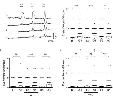 Figure 5. Repeated glutamate application induces increased neuronal activity in synaptically connected hippocampal cultures