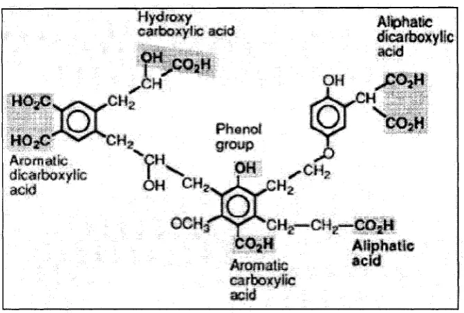 Figure 2-3: NOM molecule showing different functional groups (Prenitsky, 2003)