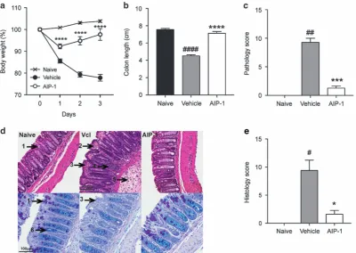 Figure 1 Protective effects of AIP-1 against weight loss and colon damage in TNBS-induced colitis