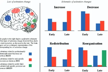 Fig 1. Schematic of practice-related changes in functional activations. The ﬁgure represents a highly schematized depiction of the changesin levels of activation and some of the potential functional loci of those changes associated with the different types