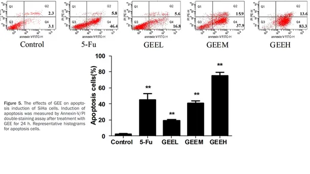 Figure 5. The effects of GEE on apopto-sis induction of SiHa cells. Induction of 