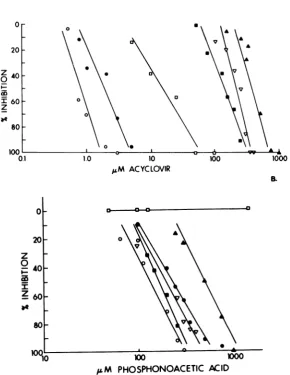 FIG.1.describedusing(A) Plaque inhibition dose-response curves for acyclovir (A) and PAA (B) in Vero cells, determined by wild-type KOS (0) and Patton (0) and acyclovir-resistant PAAr5 ([1), IUdRrr(), BW' (A), and ACGr4 viruses