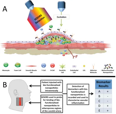 Figure 1 Prospective rational for surface-enhanced Raman spectroscopy (SERS) based-diagnostics for atherosclerotic inflammation