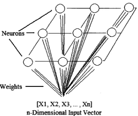 Figure 1.2: Self-organizing map structure