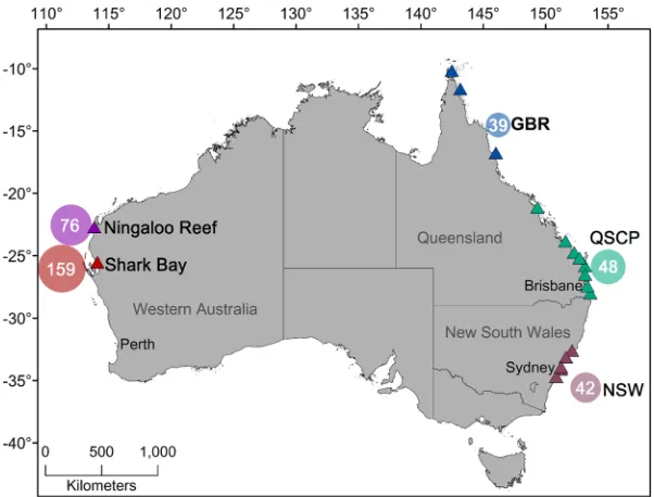 Figure 2. Mean and standard deviation stable isotopic composition of each tissue for each of the locations sampled (SB = Shark Bay, GBR = Great Barrier Reef, NSW = New South Wales, QSCP = Queensland Shark Control Program) for (A) slow tissues (muscle, derm