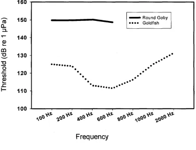 Figure 2.6: Collapsed round goby audiogram compared to goldfish audiogram 