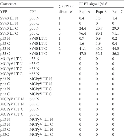 TABLE 1 FACS-FRET results