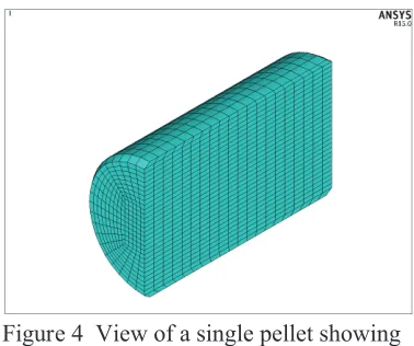 Figure 4  View of a single pellet showing 
