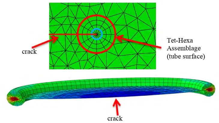 Figure 2 Meshing at the crack front 